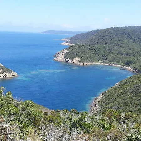 Appartement Au Morgan De Vous Le Lavandou