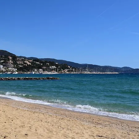 Au Morgan De Vous * Le Lavandou